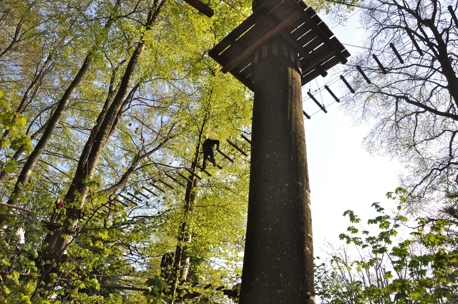 Parc Aventure Signal de Bougy | Le plus grand parc de Suisse